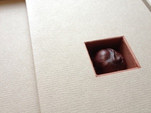 20121103-013908 PM.jpg